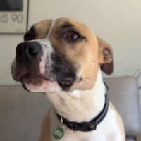 Photo of Rosemary Kumara