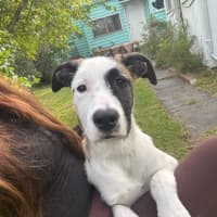 Photo of Isla