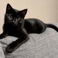 Photo of Paddy