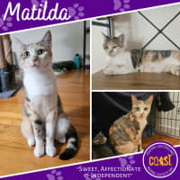 Photo of Matilda