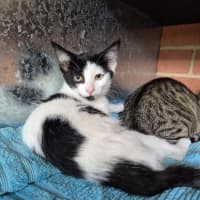 Photo of Cowgirl! 🤠