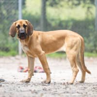 Photo of Sally