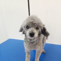 Photo of Carlos And Charlie