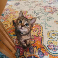 Photo of Holly Bloom