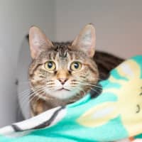 Photo of Navi