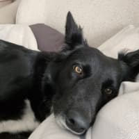 Photo of Lena