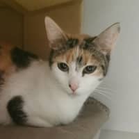Photo of Molly