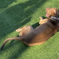 Photo of Shellie