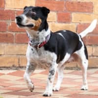 Photo of Bella Valenti