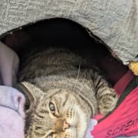 Photo of Roxy