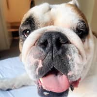 Photo of 👅Gordito👅