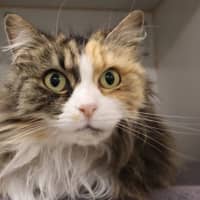 Photo of Milly