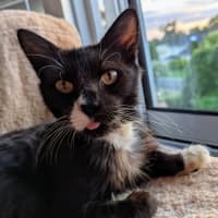 Photo of Kevin