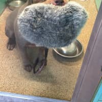 Photo of Storm