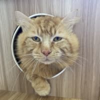 Photo of Leonardo 