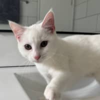 Photo of Elsa