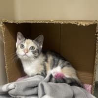 Photo of Tilly