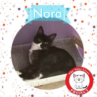 Photo of Nora & Oskar *9 Lives Project Rescue*