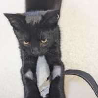 Photo of 🍳 Scramble 5731 🍳