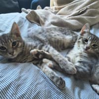 Photo of Bruno / Fruit Loop