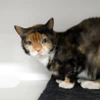 Photo of Sox Rstk004813