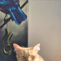 Photo of Nin Nin