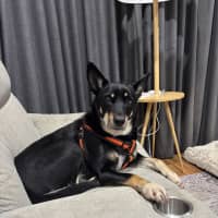 Photo of Huzi