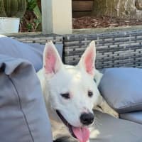 Photo of Lumi