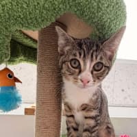 Photo of Gary & Harriet 