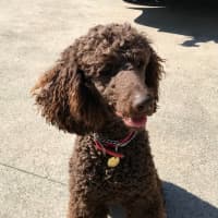 Photo of Xander