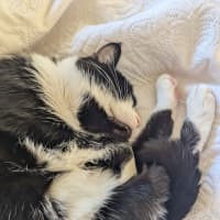 Photo of Chloe