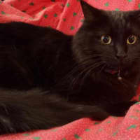 Photo of Turbo