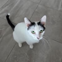 Photo of Cita