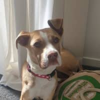 Photo of Ellie Valenti