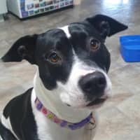 Photo of Maggie Junee