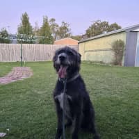 Photo of Ghost