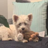 Photo of Lily Peggotty