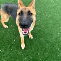 Photo of Dakota Imp 2843