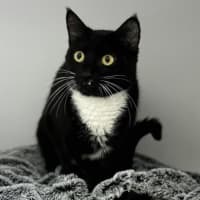 Photo of Jennifurr