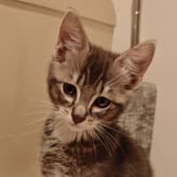Photo of Leo