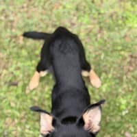 Photo of Kaia