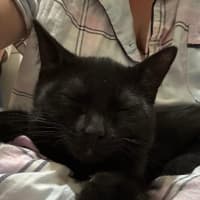 Photo of Monty