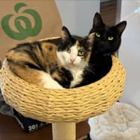 Photo of Maya & Morgan🌻🌼