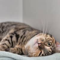 Photo of Matilda