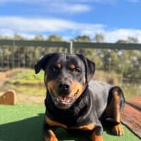 Photo of Maverick