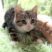 Photo of 🩷Juliet 🩷