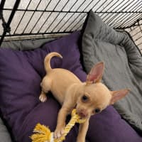 Photo of Lexi