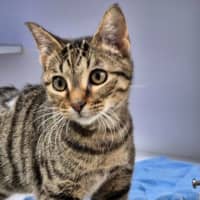 Photo of Megara