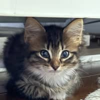 Photo of Betty & Cindy Lou Who