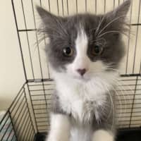 Photo of Storm